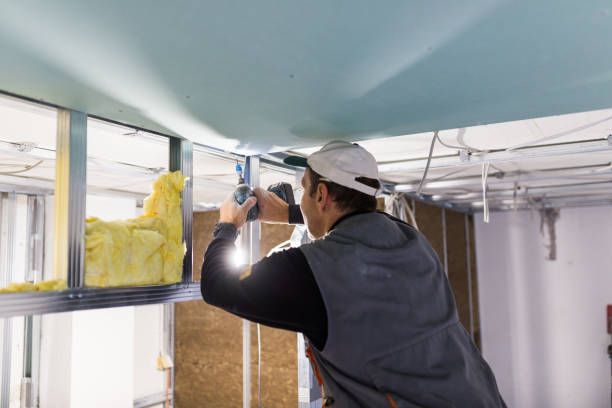 Best Geographic-Specific Insulation Services in Iona, FL