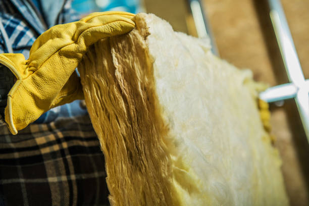 Best Commercial Insulation in Iona, FL