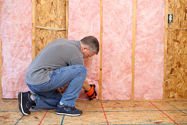 Best Eco-Friendly Insulation in Iona, FL
